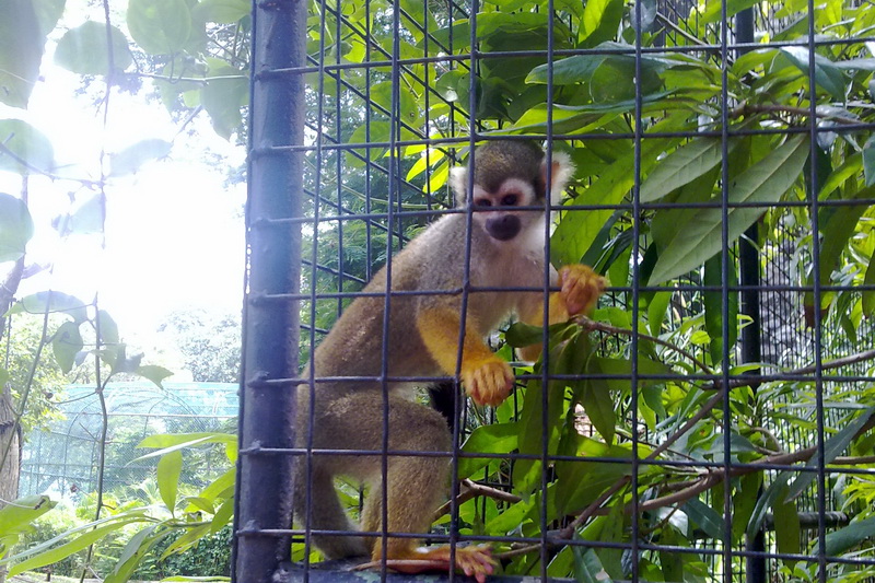 Sri Lanka, Colombo, Dehiwala Zoo